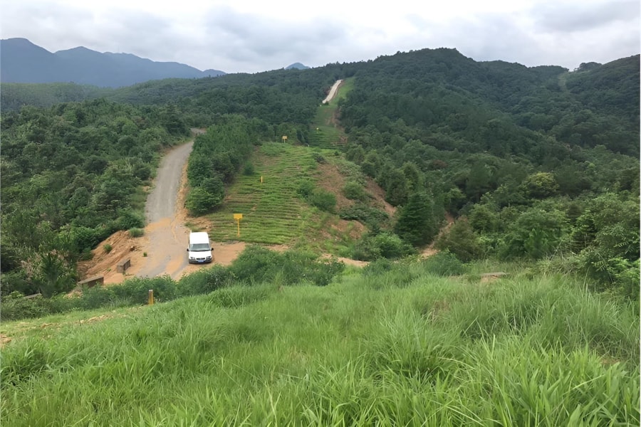 荒山复绿-瀚阳绿化